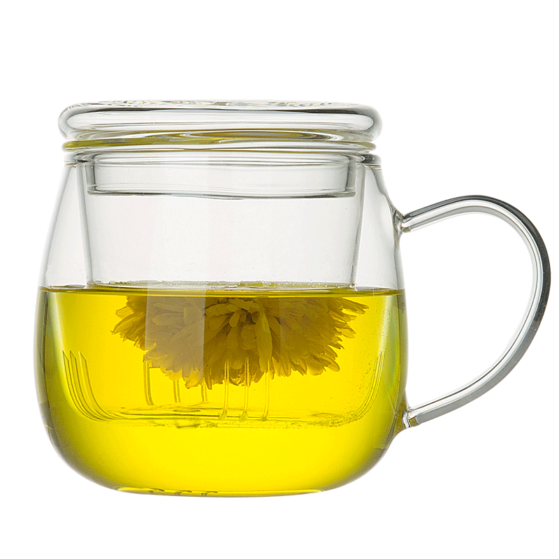 玻璃杯茶杯茶水分离杯高硼硅玻璃泡茶家用耐高温带把手水杯子带盖