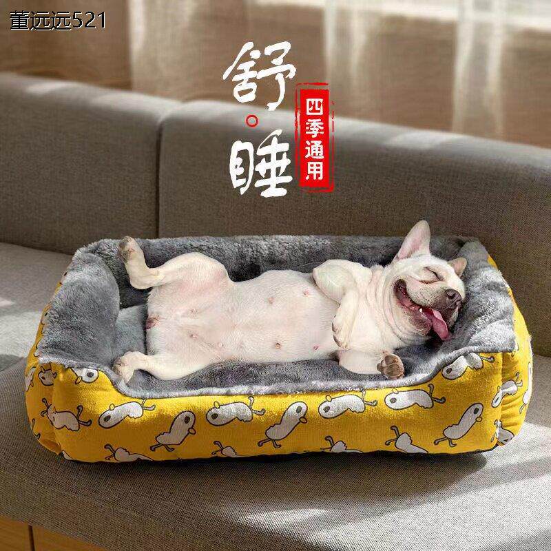 德国工艺冬天保暖泰迪狗