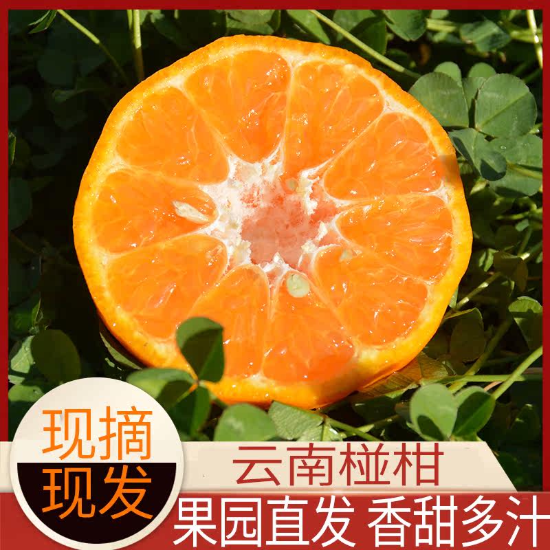 云南新鲜桔子当季水果包邮椪柑正宗甜,水产肉类/新鲜蔬果/熟食,桔子,淘宝优惠券,粉丝福利购,淘宝优惠卷