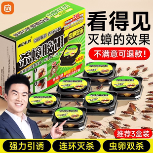强效一名双杀除虫卵胶饵杀虫剂 蟑螂药非无毒家用全窝端屋内第正品