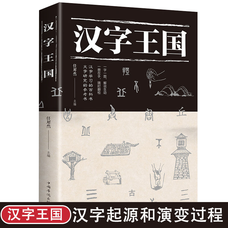 汉字王国正版给孩子的汉字王国甲骨文汉字对照表说文解字图解汉字汉字王国生活中常用汉字为每个都配插图与解读本身含义与演变书籍