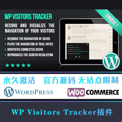 WP Visitors Tracker 访客日志追踪操作网站统计WordPress插件