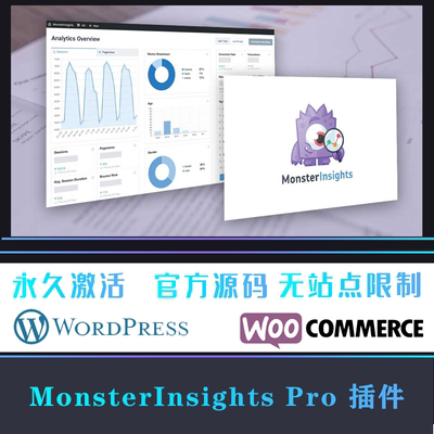 MonsterInsights Pro Google Analytics统计分析插件 WP插件