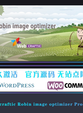 Webcraftic Robin image optimizer Pro 图片专业压缩优化加速