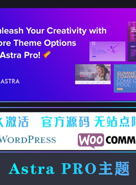 Astra PRO 主题Wordpress主题免激活WP高级模板不限站点 永久使用