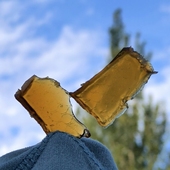 纯鹿角胶 无任何辅料添加 70小时熬制