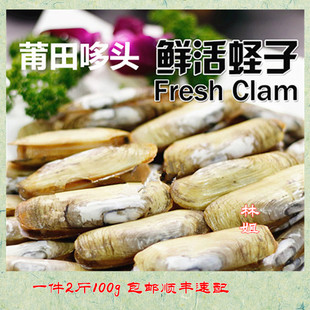 福建莆田特产正宗哆头蛏子/大海蚬/刀蚬海鲜水产2斤顺丰包邮速配