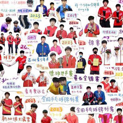 莎头组合孙颖莎王楚钦乒乓球贴纸手账手机壳笔记本diy装饰贴200张