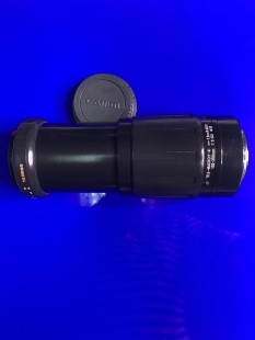 佳能EF 腾龙100-300mm/5-6.3长焦自动镜头全幅带微距打鸟荷花利器