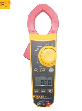 福禄克 FLUKE 钳表电流表 F319