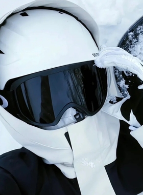 户外滑雪特大框白水银防风墨镜女