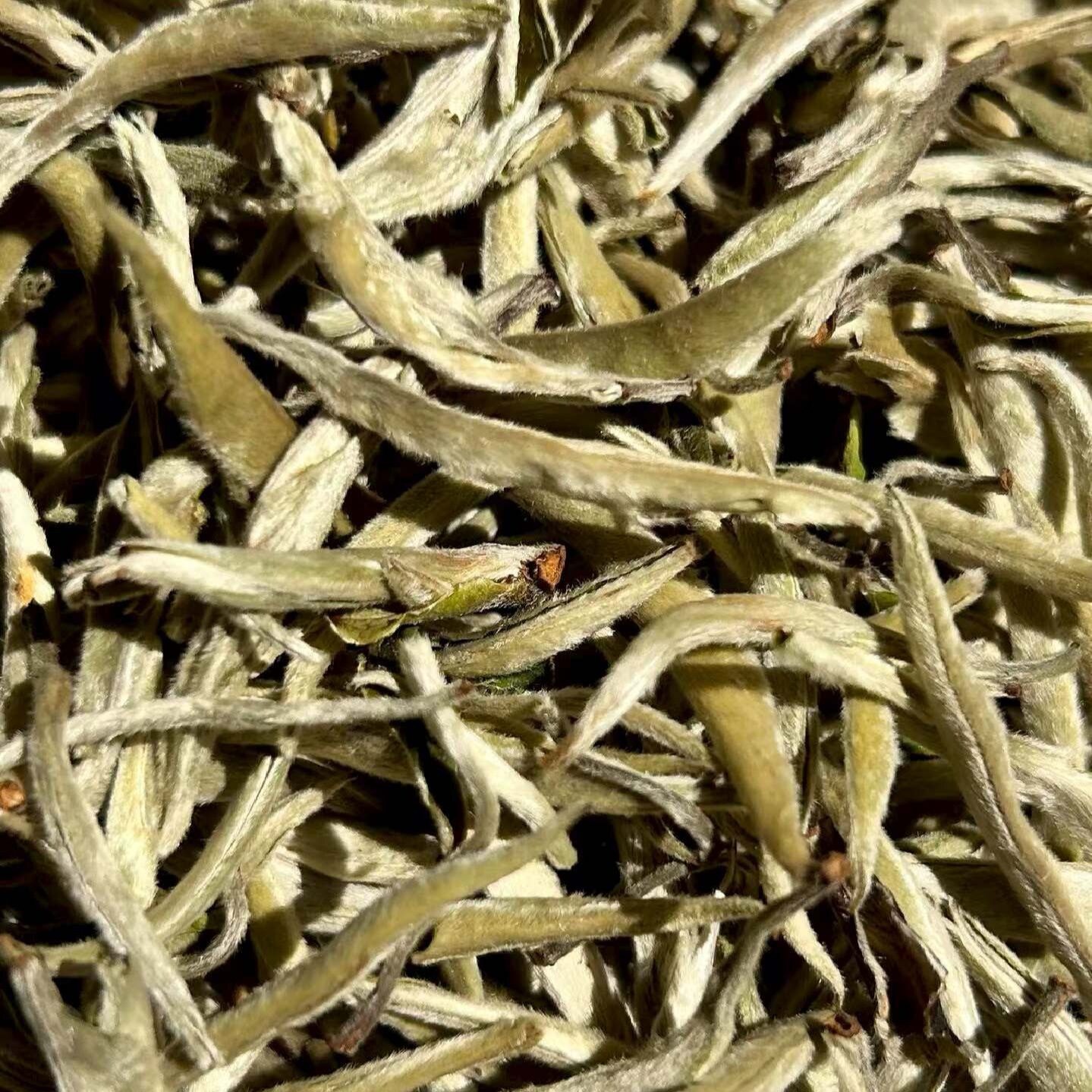 2026年春茶尝鲜 云南白茶白针银毫花蜜香 新茶品鉴装100克