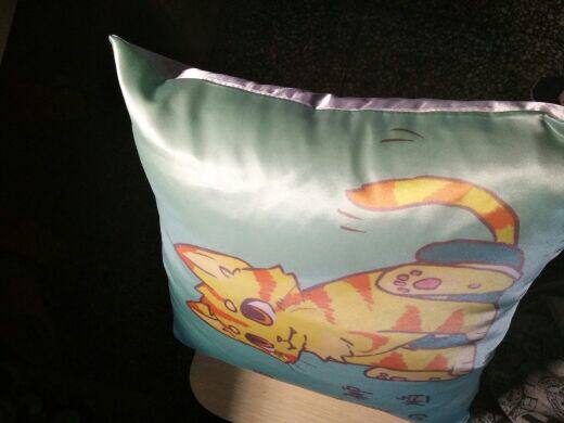 Coussin Manga - Ref 2691220 Image 3