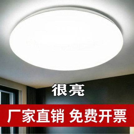 圆形吸顶灯客厅灯卧室灯家用工程通用阳台过道房间灯全白简约现代