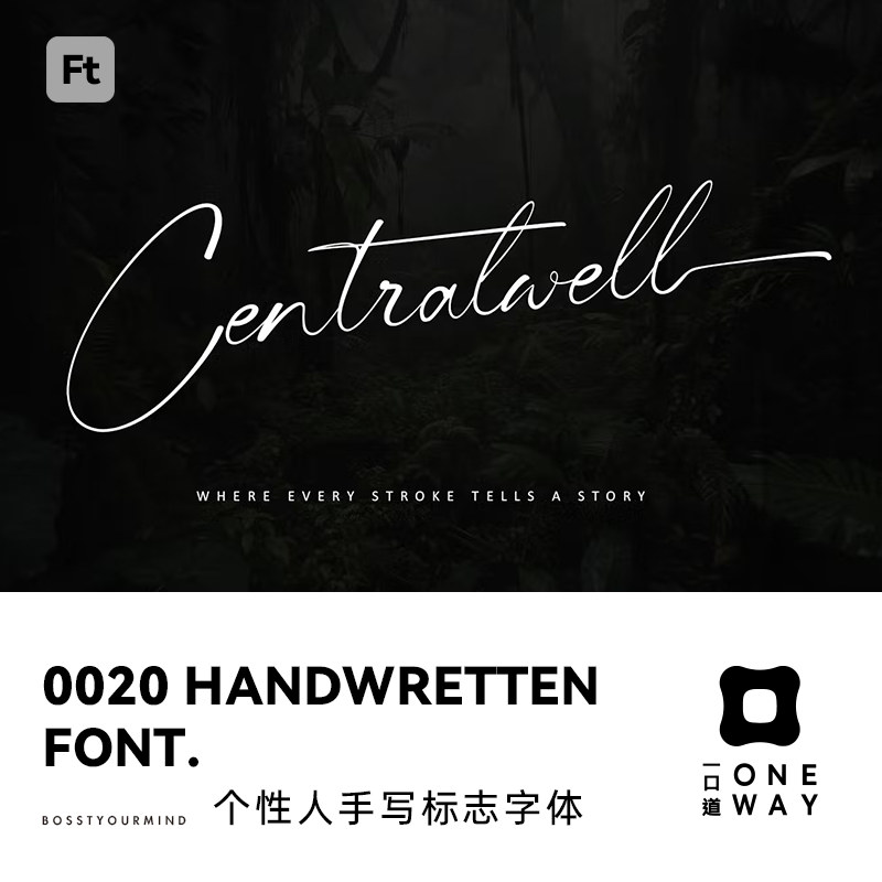 macwin procreate人工手写英文字体logo标识标志排版版式设计字体