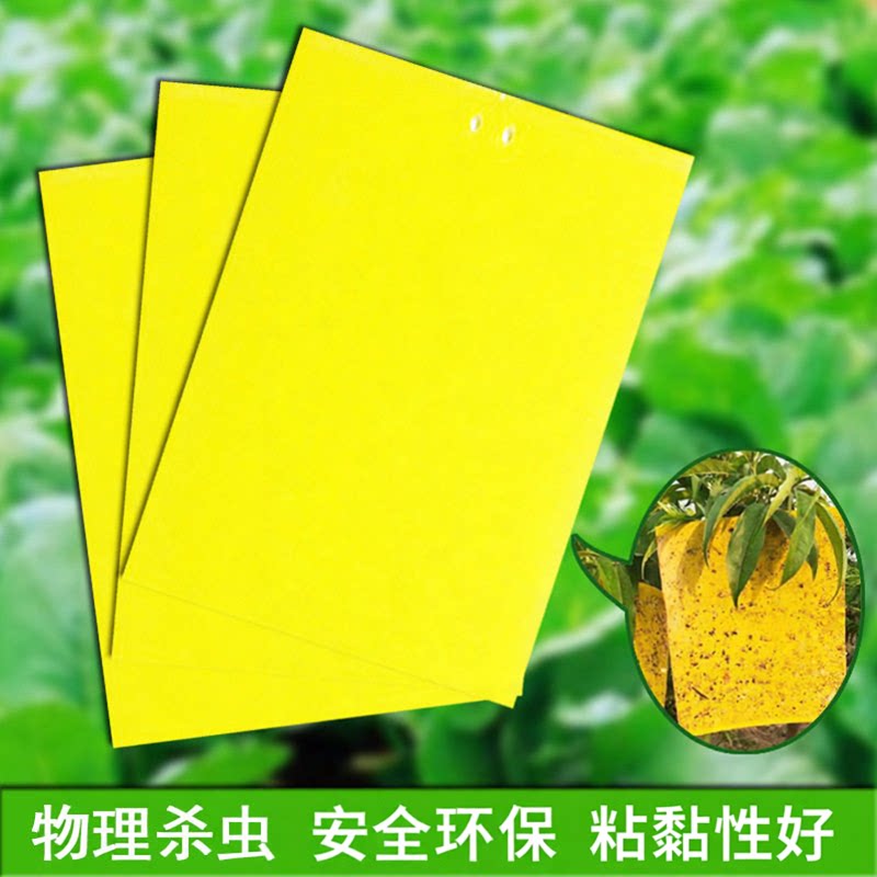 双面粘虫板贴纸小飞虫沾果蝇诱捕捉蚊子苍蝇大棚黄板