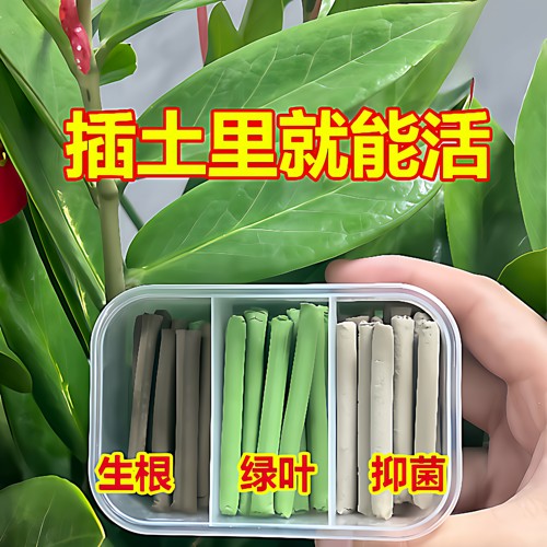 三色植物营养棒缓释棒盆栽花卉多肉适配绿植养护肥料养花用品