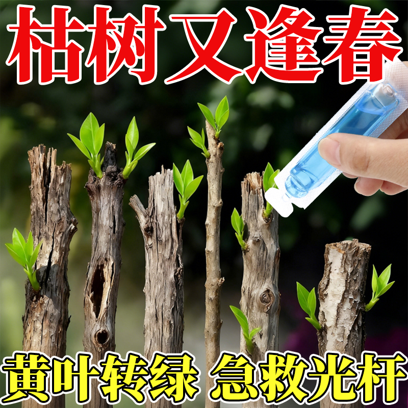 植物再生剂复活液花卉绿植盆栽通用光杆发黄发财树多肉生长营养液