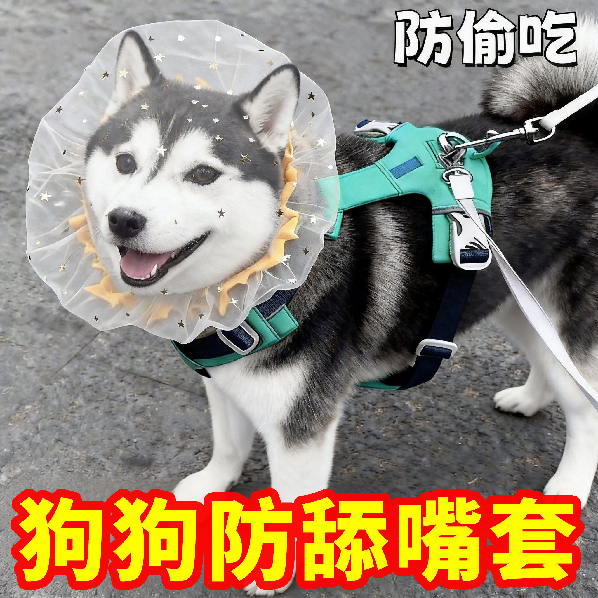 防偷吃乱吃网纱狗狗头套小型犬泰迪比熊防误食面罩防舔嘴套