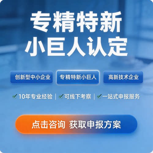 国家高新企业认定 专精特新小巨人申报认证代办