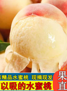 精品水蜜桃正宗现摘徐州新沂特大桃子新鲜水果应当季软的时令甜密
