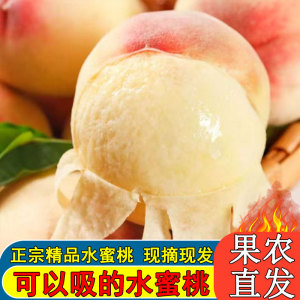精品水蜜桃正宗现摘徐州新沂特大桃子新鲜水果应当季软的时令甜密