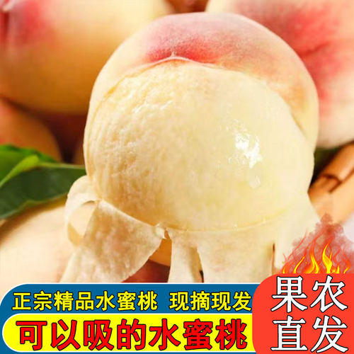 精品水蜜桃正宗现摘徐州新沂特大桃子新鲜水果应当季软的时令甜密