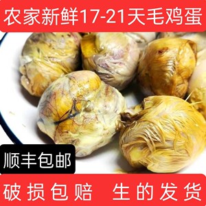 新鲜毛鸡蛋烧烤专用18天21天全鸡半鸡半蛋鸡胚蛋喜蛋毛蛋非活珠子
