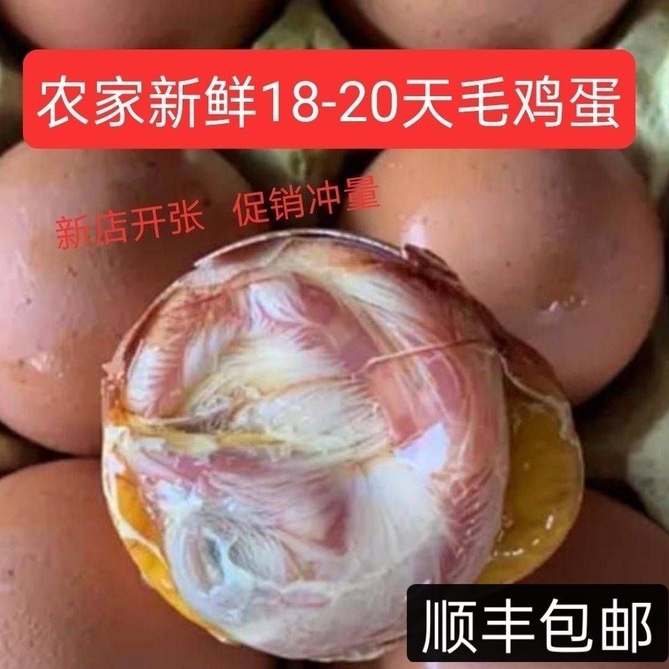 [顺丰]毛蛋鸡10/40枚鸡胚蛋新鲜毛蛋喜蛋 旺鸡蛋非活珠子凤凰蛋
