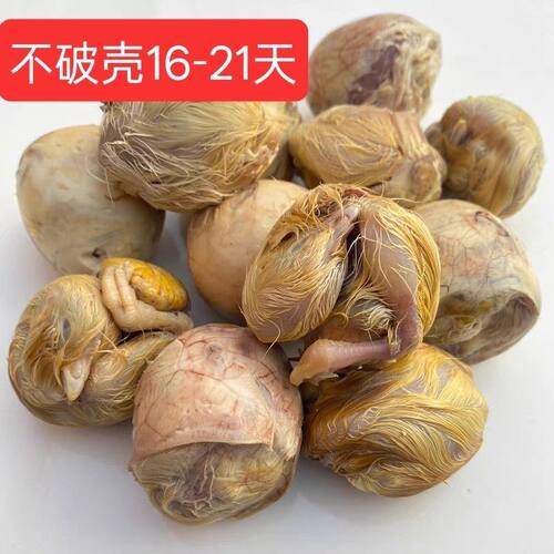 新鲜21天毛鸡蛋微啄壳全鸡毛蛋全喜蛋百分百发育完整介意碎壳慎拍