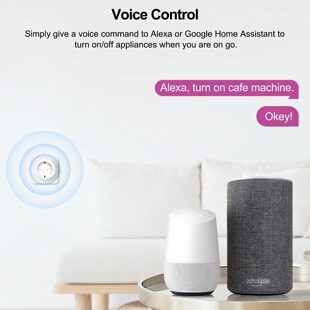 GIRIER Tuya Smart Wifi Plug EU with Power Monitoring 20A Sm