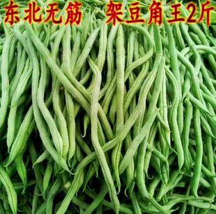 东北新鲜蔬菜架豆王豆角架豆角干豆角芸豆角长豆角油豆角新鲜蔬菜