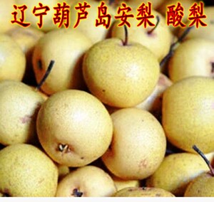 东北特色安梨水果酸梨细皮多汁秋子梨可做冻梨水果安梨酸梨花盖梨