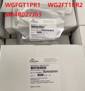 Entegris过滤器WGFGT1PR1过滤器 WG2FT1RR2英特格过滤SM4R027J03