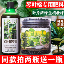 琴叶榕肥料盆栽专用花卉营养液花叶绿植锈斑通用型水培叶面肥大叶