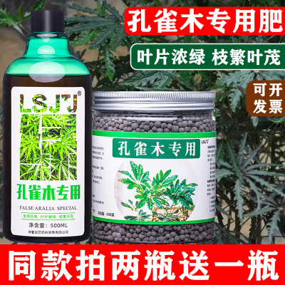 孔雀木专用肥手树肥料营养液复合肥有机肥颗粒缓释肥家园艺盆栽景