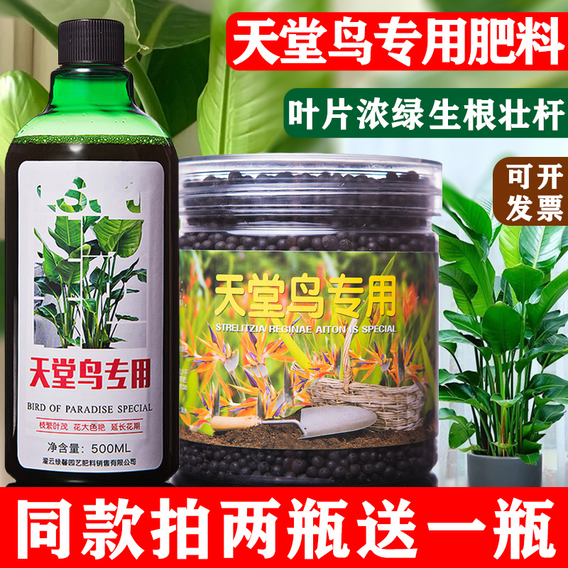 天堂鸟鹤望兰专用肥料花卉盆栽植物营养液有机肥大型绿植颗粒肥料