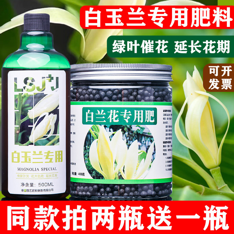 白兰花专用肥料营养全面