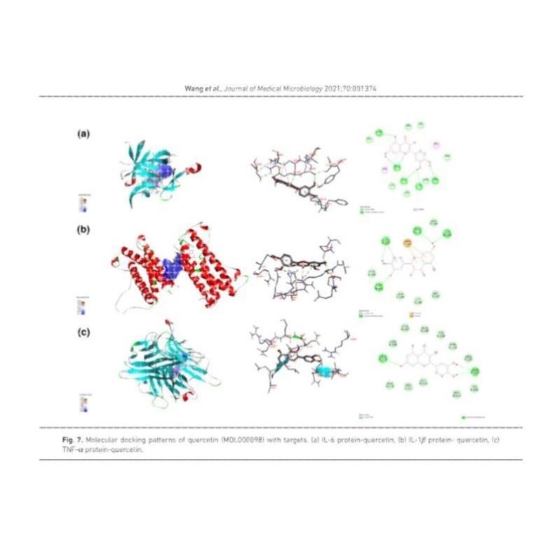 生信分析网络理学生物信息学服务单细胞分析转录组GEO数据挖掘