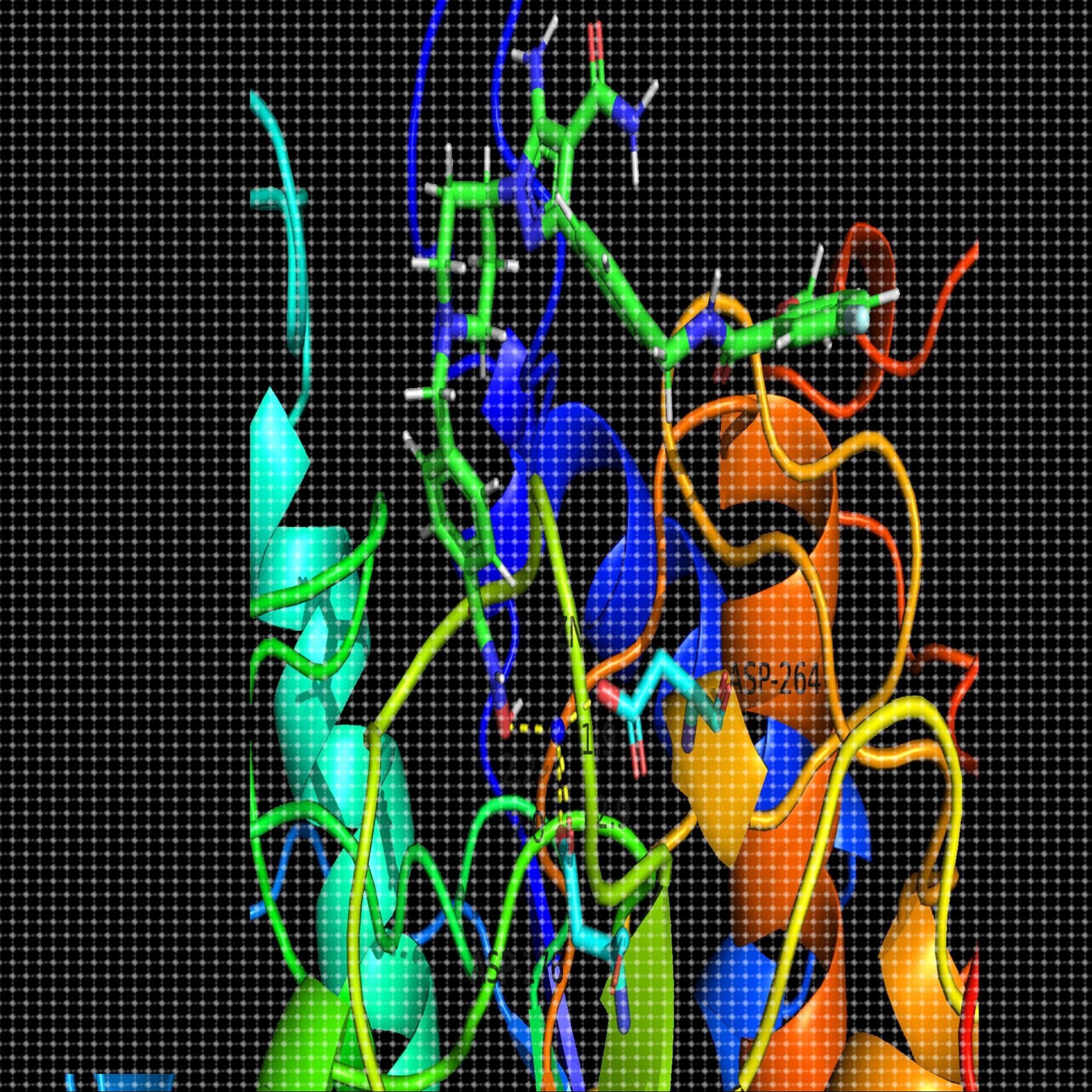 DNA建模/RNA建模/多肽建模/蛋白质建模/蛋白蛋白对接/蛋白对接