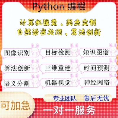 python代编程深度学习视觉处理目标检测github复现大模型图像识别