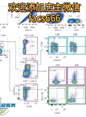 流式数据分析-flowjo细胞凋亡周期免疫分型活性氧增殖钙流多色
