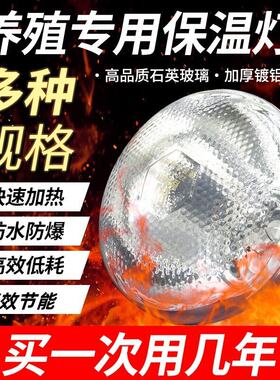 养殖保温灯小鸡育雏猪圈保温灯泡宠物加热灯养猪场兽用发热取暖灯