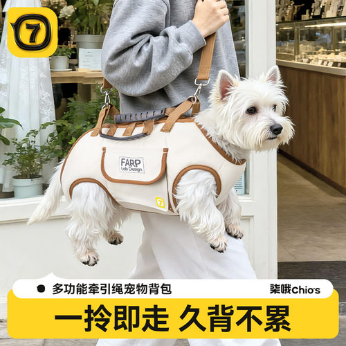 宠物外出包便捷小型犬小狗遛狗包狗狗外出包斜挎狗包猫咪宠物背包