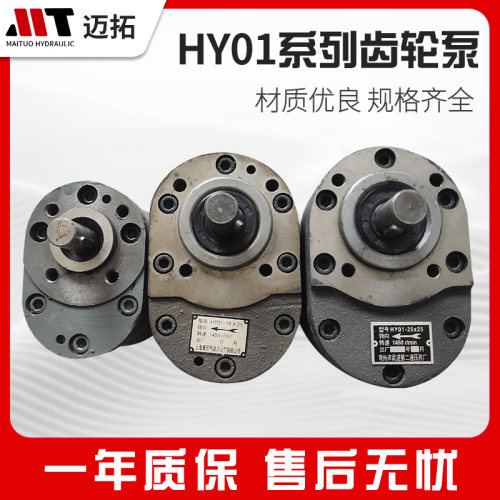 齿轮泵HY01全系列齿轮泵