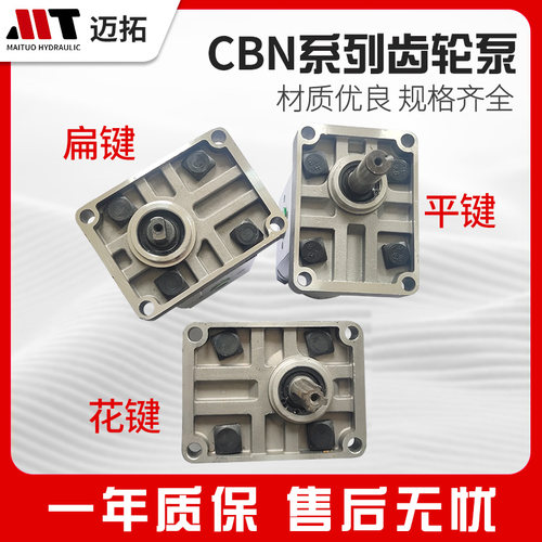 CBN齿轮泵高压压力泵E310