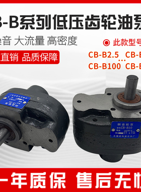 凯利CB-B6/B10/B4/B16/B20/B25/B32/B40/B50/B63/B80/B100/B125齿