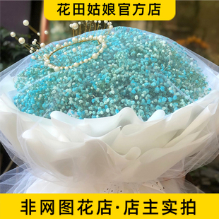 【开州花田姑娘鲜花店】满天星永生花束（粉色，紫色，蓝色，红色
