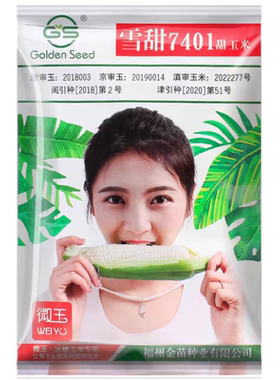 雪甜7401甜玉米种子40克42元约320粒爆浆珍珠牛奶白水果玉米种子