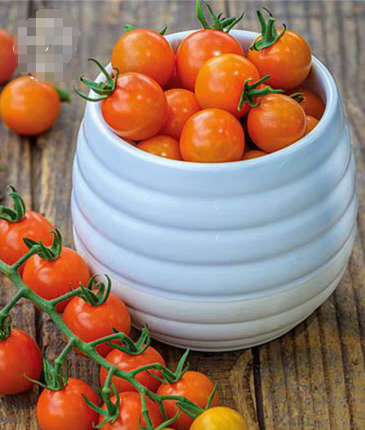 蜂巢樱桃小番茄种子5粒4元F2满28元包邮